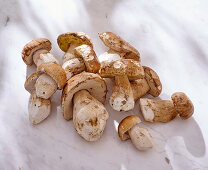 Raw, cleaned porcini mushrooms