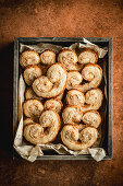 Palmiers in a wooden crate