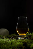 Traditionelles schottisches Glencairn-Whiskyglas auf Moos