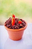 Carrot cake in a 'flower pot'