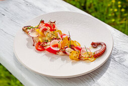 Grilled octopus with vegetables