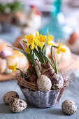 Baking tins with daffodils and quail eggs