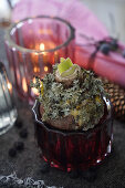 Amaryllis bulb covered with moss, napkin dyed in sloe juice