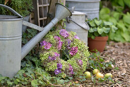 Autumn wreath with hydrangea, sedum and apples next to watering can and milk jug in the garden