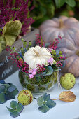 Autumnal arrangement with mini pumpkin, heather (Calluna) and snowberries (Symphoricarpos), chestnuts and hydrangea blossoms on garden table