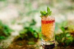 Mint julep with bourbon, ginger, camomile and apple cider