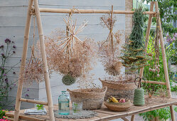 Yarrow flowers (Achillea), ornamental leeks (Allium) and poppy capsules drying