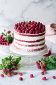 Red velvet cake with raspberry jelly and fresh raspberries