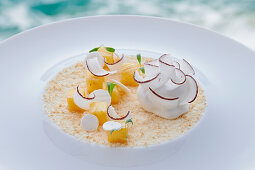 Pineapple sorbet with crème chiboust, coconut and lime