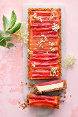 Elderflower cheesecake with rhubarb