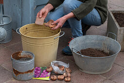 Planting gladioli in pots- Placing a clay shard on the drainage hole