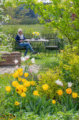 Beet mit Tulpe (Tulipa) 'Marilyn' und 'Strong Gold' vor Frau an Gartentisch