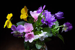 Composizione di fiorellini, viole del pensiero e azalee in un vaso di vetrocon fogliame.