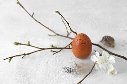 Still life with brown hen's egg, feathers and twig