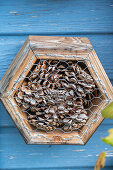 Insect hotel in the wall of a house, close-up