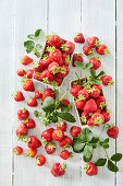 Frische Erdbeeren in Pappschalen
