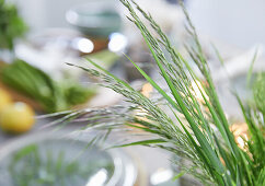 Grasses as table decoration