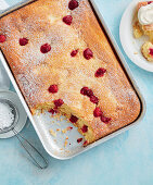 Weißer-Schokoladen-Blechkuchen mit Himbeeren