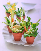 Vegetable sticks with dips in small flower pots