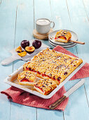  Plum-quark-tray, Creamy cakes, Fruity cheesecakes 