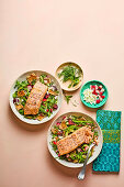 Sumac salmon with spring fattoush