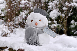 Snowman with grey scarf, pot and wooden winter sign