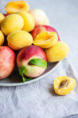 Whole and halved apricots and nectarines