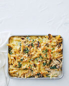 Creamy French pasta bake with onions and chicken