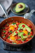 Huevos Rancheros mit Avocado und Chili