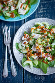 Chicken salad with spinach, cucumber and cinnamon vinaigrette