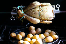 Hangover Chicken zubereiten