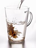 Sternanis im Glas mit kochendem Wasser übergiessen