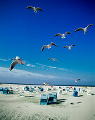 Lido of St.Peter-Ording, North Sea, Schleswig- Holstein, Germany