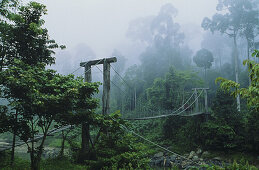 Bridge in the rain forest, Borneo, Indonesia, Asia
