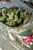 Basket with Grapes, Cinque Terre, Liguria Italy, Europe