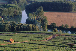 Marne bei Epernay, Champagne Frankreich