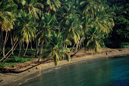 Playa anadel, Halbinsel Samana, Dominikanische Republik Karibik