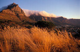 Sunset, Cape Town, South Africa