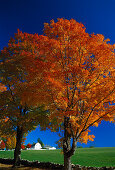 Shakerdorf, Canterbury New Hampshire, USA