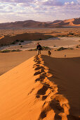 People on a sand dune, Sossusvlei, Namibia, Africa