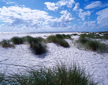 Dunes , Dueodde, South Coast, Bornholm Denmark