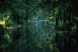 Hauptspree, Burg Kolonie, Spreewald, Brandenburg, Deutschland