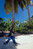 Schlaefchen unter Kokospalme, Aitutaki Lagune Cook-Inseln