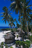 Beach Fales, Tanumatiu Beach, Falealupo Peninsula Savai'i, Samoa