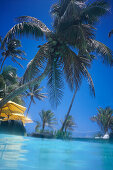Swimming Pool, Rarotongan Beach Resort Rarotonga, Cook Island