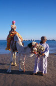 Tourist riding a camel on the beach, Hurghada, Red Sea, Egypt, Africa