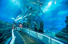 People in a tunnel under water in the aquarium Oceanari, L´Aquarium, Moll D´Espagna, Barcelona, Catalonia, Spain