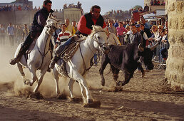 Celebration of the Bulls of the Camargue, Aigues-Mortes, Gard, Provence, France