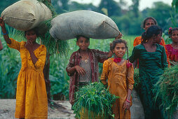 Kinder tragen Säcke, Muzaffarpur, Bihar, Indien, Asien