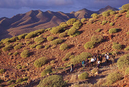Hikers in Tamadaba-San Nicolás, Gran Canaria, Canary Islands, Spain